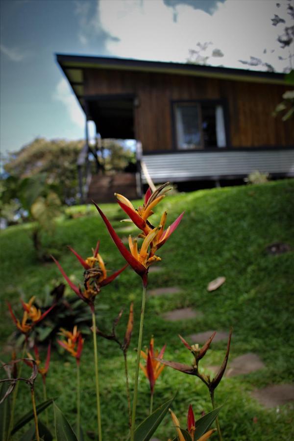 The Lodge At Reventazon River Mountain Ranch Туриалба Екстериор снимка